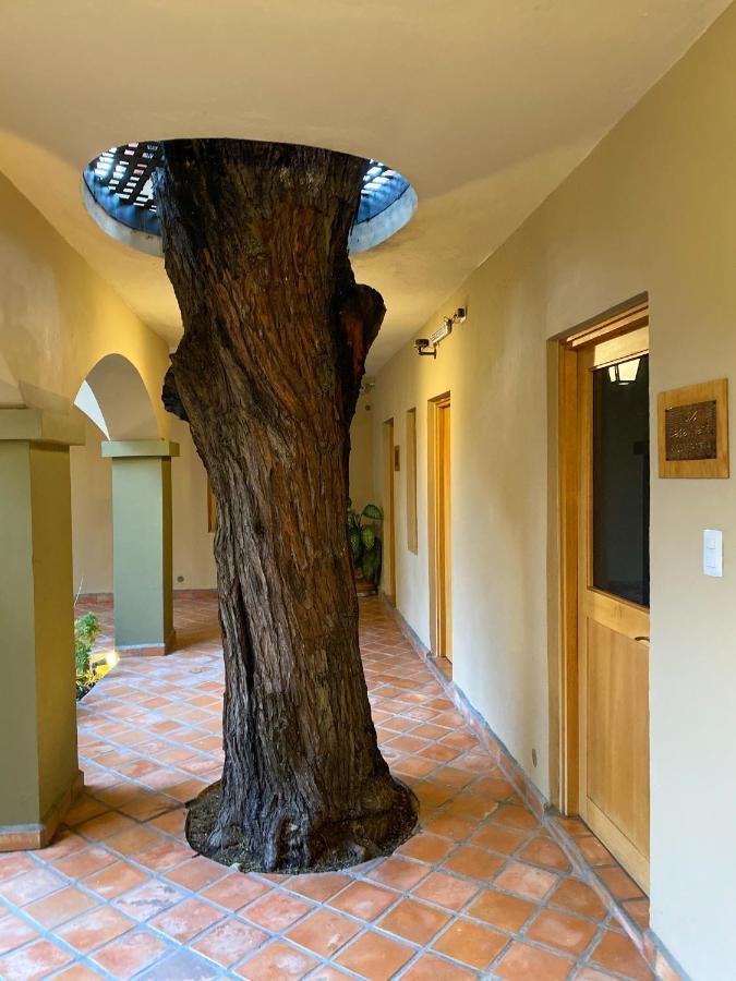 Casa Nare Adults Only Hotel San Miguel de Allende Exterior foto