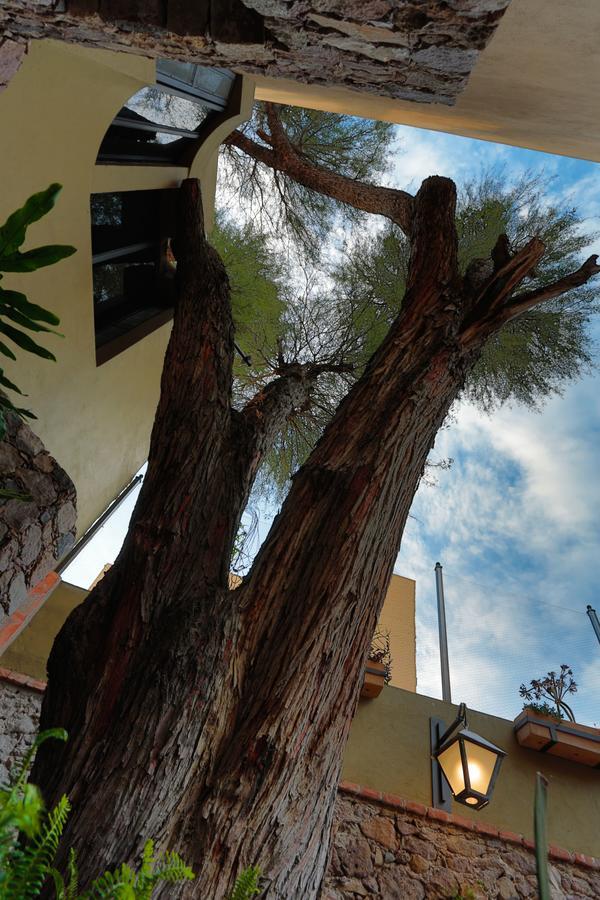 Casa Nare Adults Only Hotel San Miguel de Allende Exterior foto